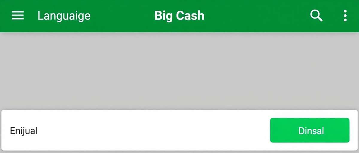 Big Cash Regional Language Support Big Cash app showing language selection screen with various Indian languages